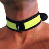 Rude Rider Neoprene Puppy Collar Yellow (T7265)