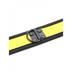 Rude Rider Neoprene Puppy Collar Yellow (T7265)