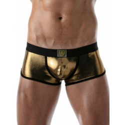 ToF Paris Metal Trunk Underwear Gold (T8848)