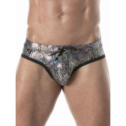 ToF Paris Splendid Swim Brief Swimwear Silver (T9090)