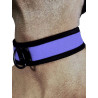 Rude Rider Neoprene Puppy Collar Blue (T7269)