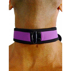 Rude Rider Neoprene Puppy Collar Purple (T7469)