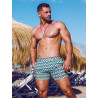 2Eros Print Bondi Shorts S60 Swimwear S60 Chevy Blue (T9658)