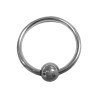 Rouge Stainless Steel Glans Ring (T11362)